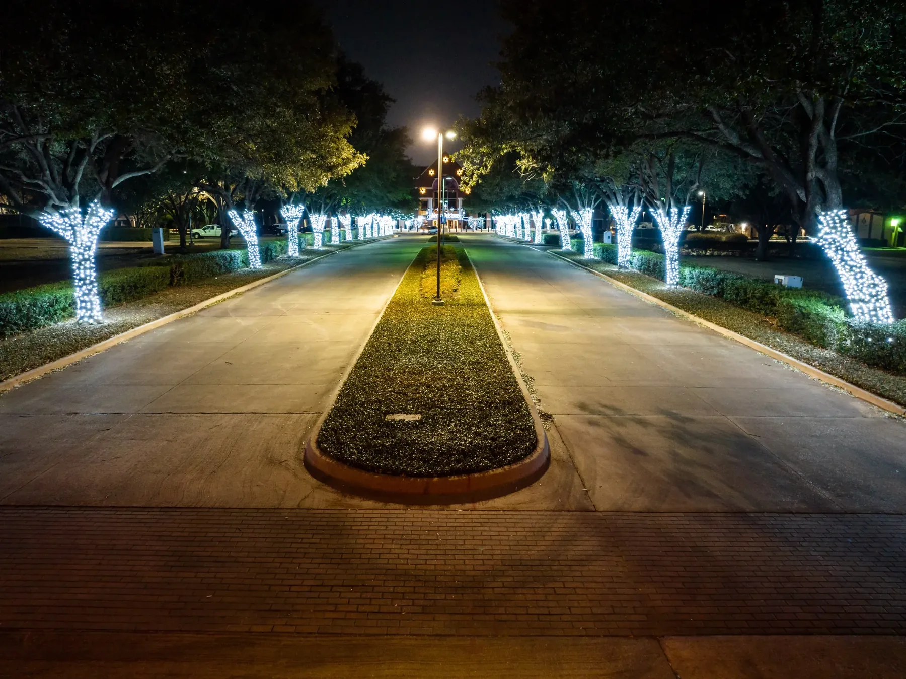 Tree-lined drive lighting in the Corpus Christi area